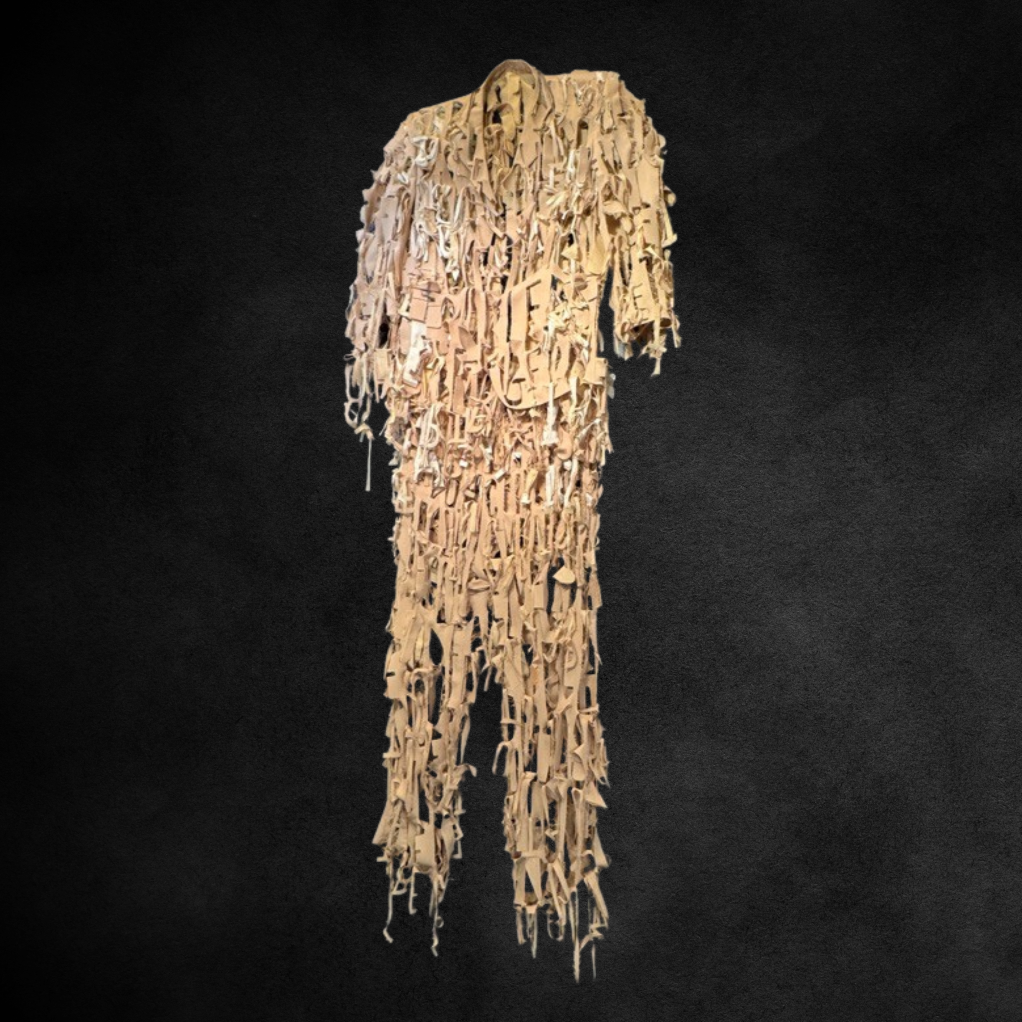 "To Be Alive Is Power" by Lesley Dill, Poem Suit Sculpture